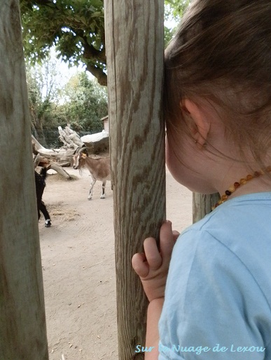 Mes souvenirs de vacances...les enfants