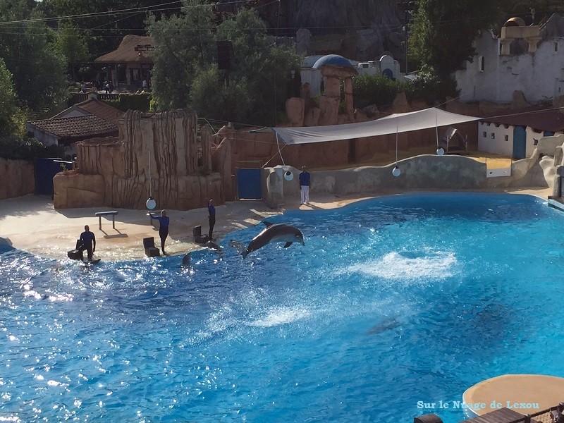 Dauphins parc Astérix