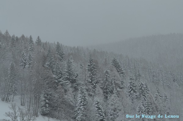 STE FOY TARENTAISE EN SAVOIE