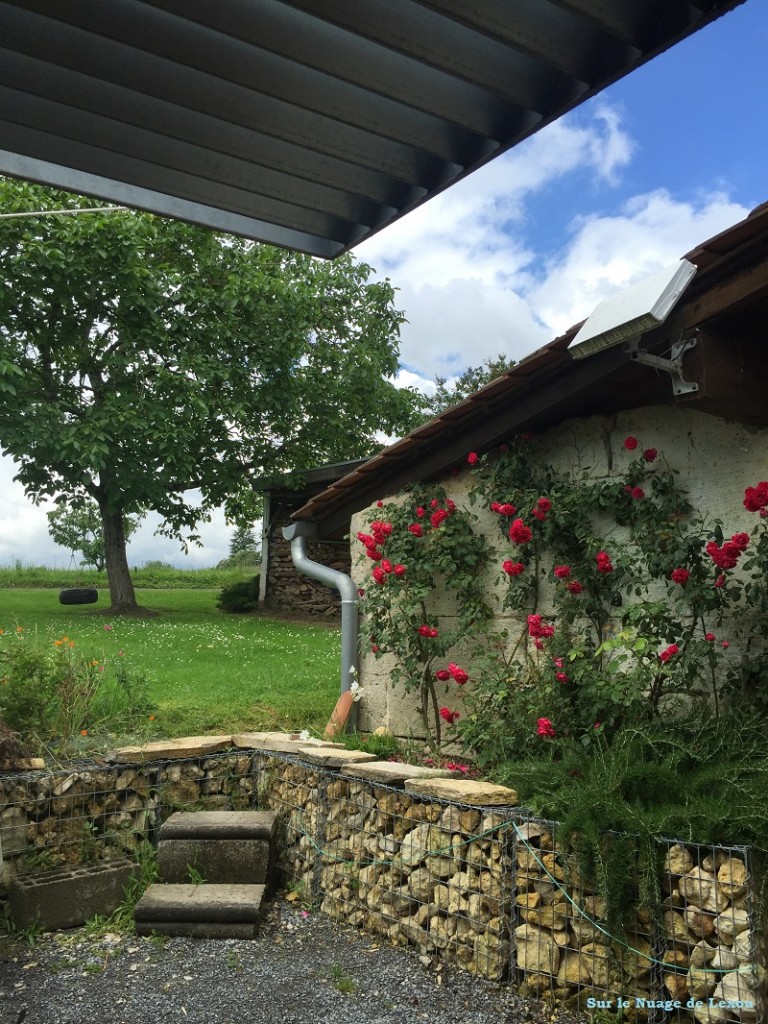 Jardin le Chai de Mario