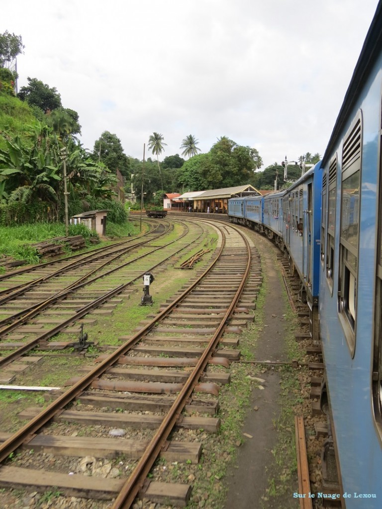 Train Kandy Gampolla