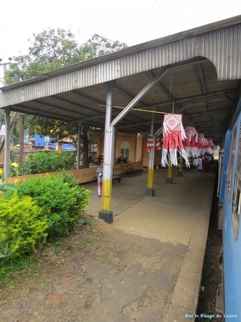 Train Kandy Nuwara Eliya