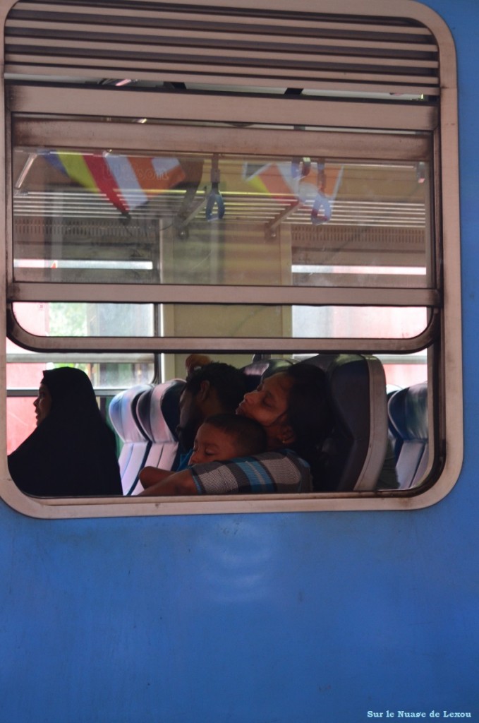Train Sri Lanka