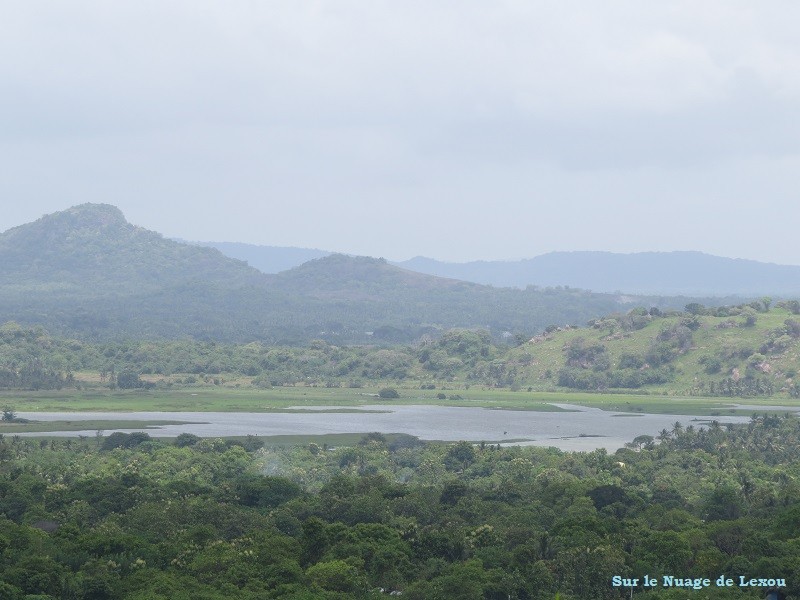 Vue Dambulla