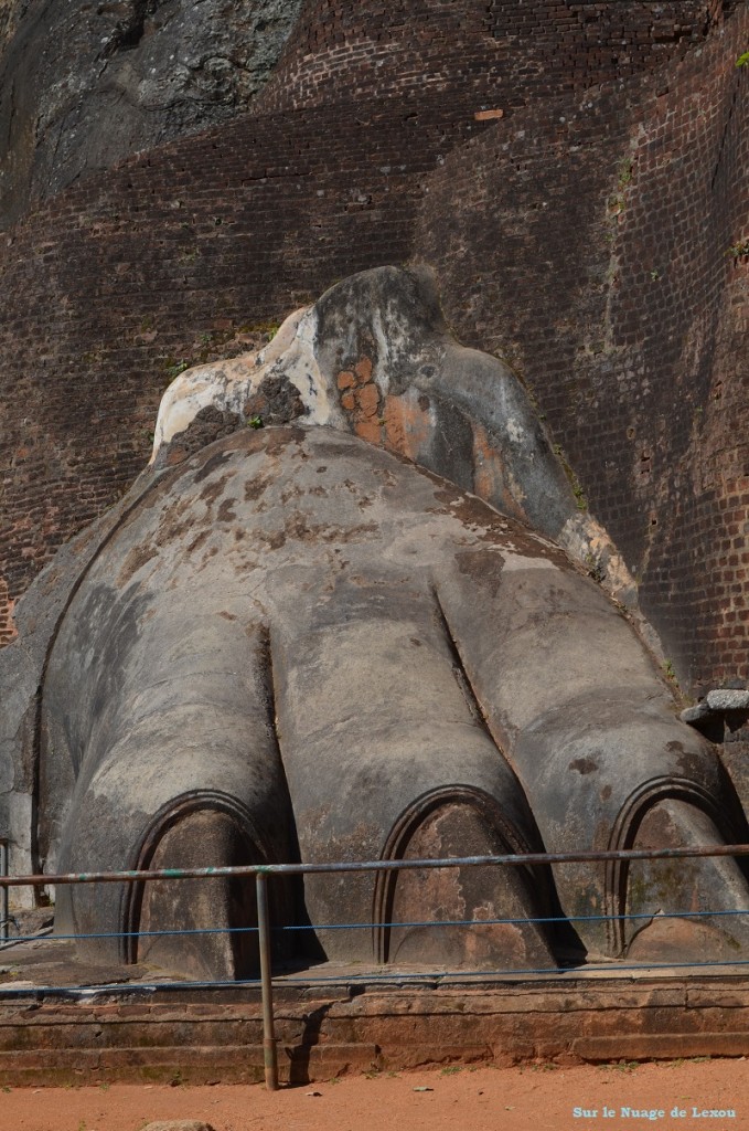 pattes de lion Sigiriya