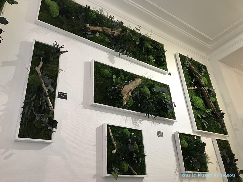 Chez Boby la plante… DECORATION BOBY LA PLANTE