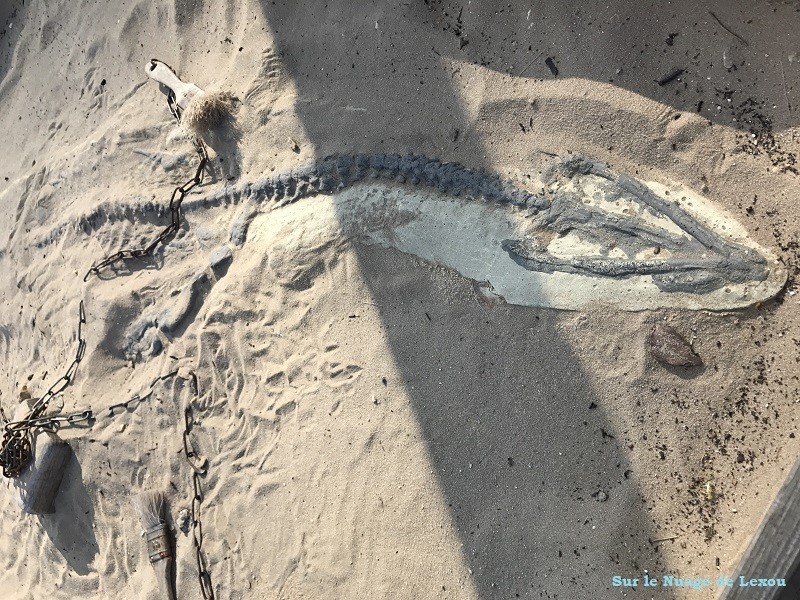 FOSSILE LA MER DE SABLE