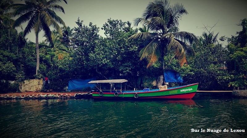 BACKWATERS INDE