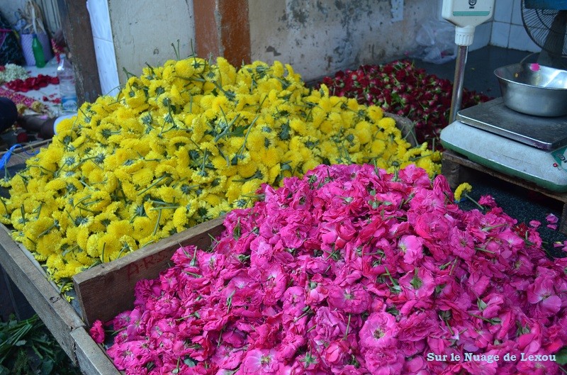 FLEUR MARCHE PONDICHERY