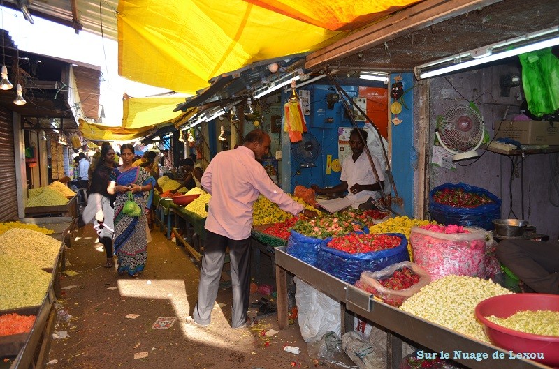 MARCHE PONDICHERY INDE