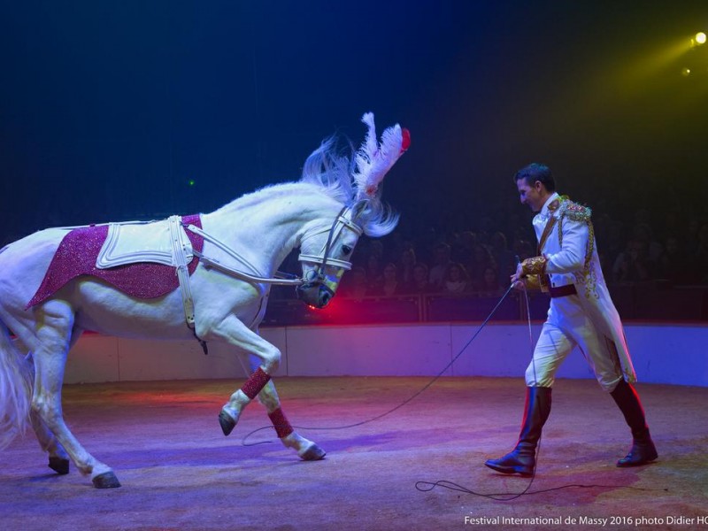 Festival international du cirque des Mureaux… Cavalerie - John CAPLOT (4)