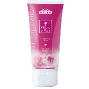 Shampoing-a-la-Rose-small