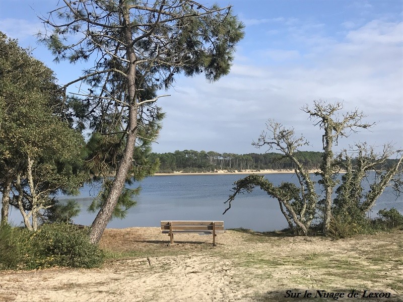 VIEUX BOUCAU LES BAINS LANDES