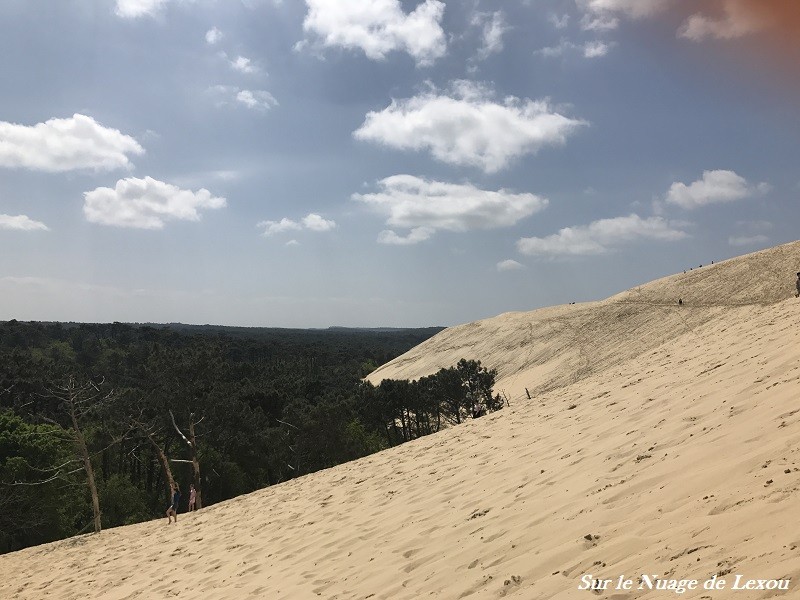 DUNE DU PILAT