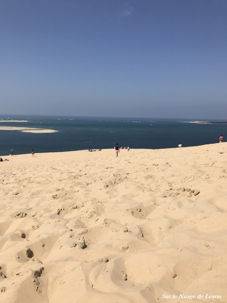 DUNE DU PILAT VUE