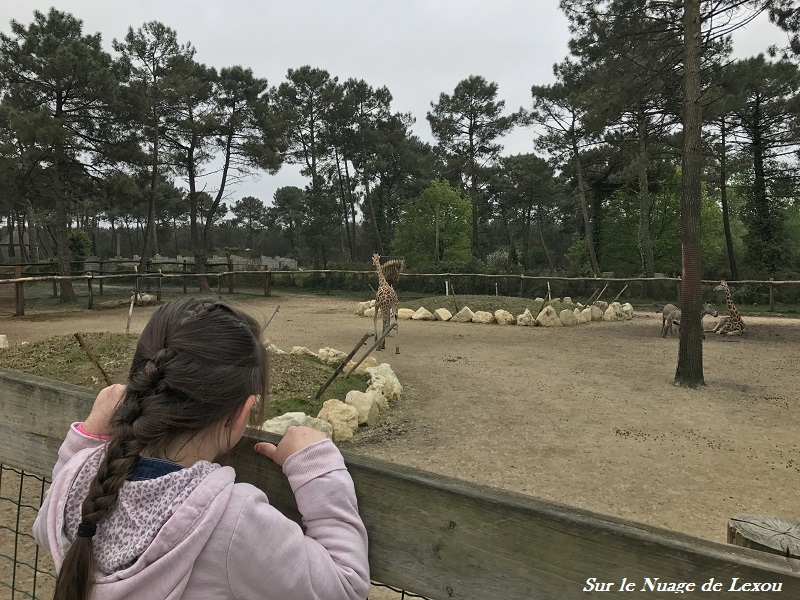 Le zoo d’Arcachon en famille! PROMENADE ZOO ARCACHON