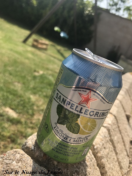 SAN PELLEGRINO LIMONE MENTA