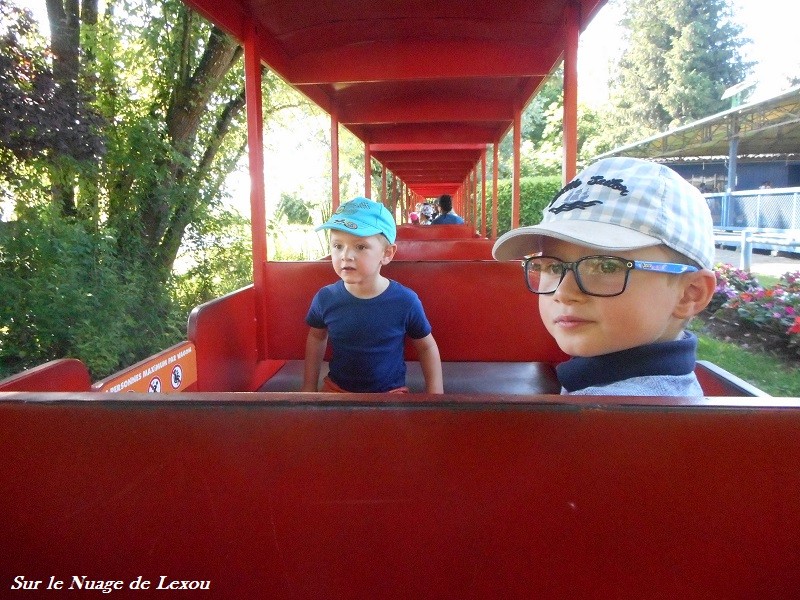 TRAIN WALIBI RHONES ALPES