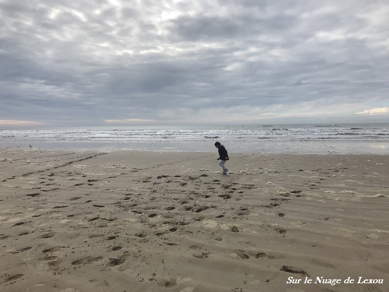 PLAGE ST JEAN DE MONTS