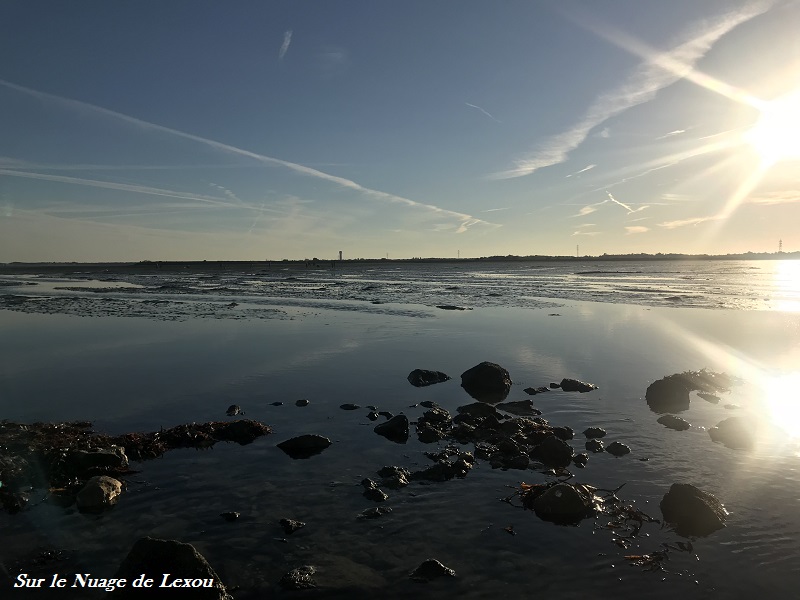 Escale à Noirmoutier… PASSAGE DU GOIS ILE DE NOIRMOUTIER