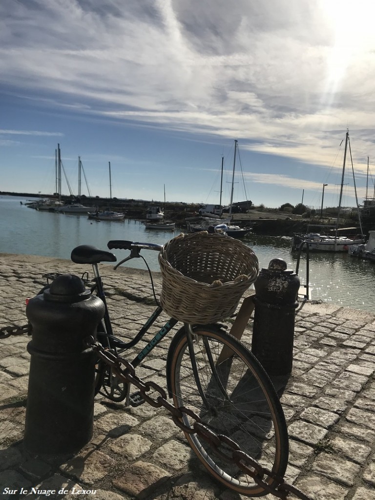 PAUSE A NOIRMOUTIER