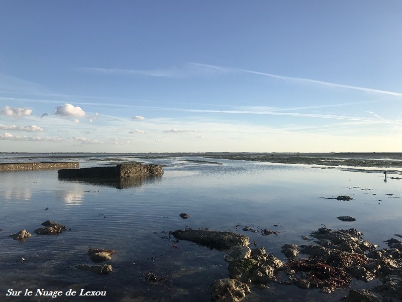 passage du gois noirmoutier