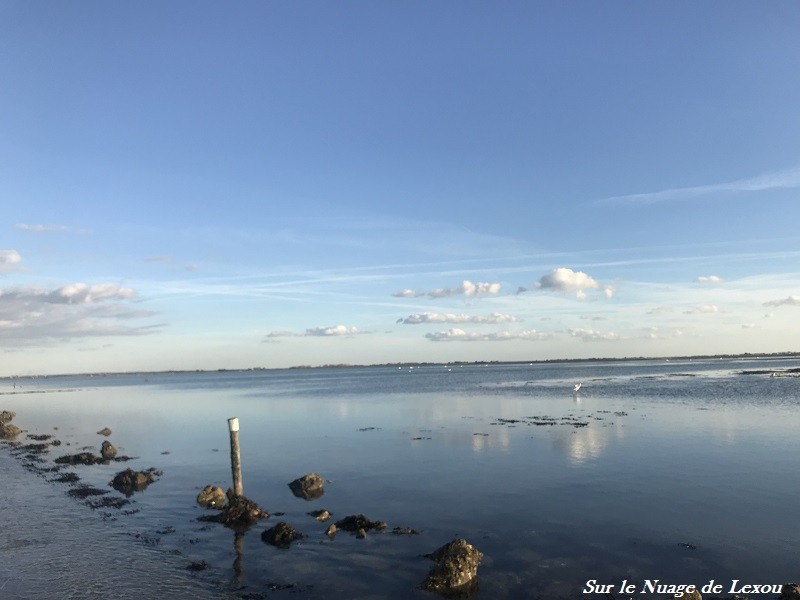 passage gois Noirmoutier