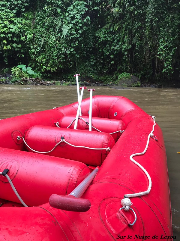 BALI RAFTING AYUNG RIVER