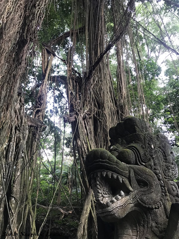 MONKEY FOREST UBUD