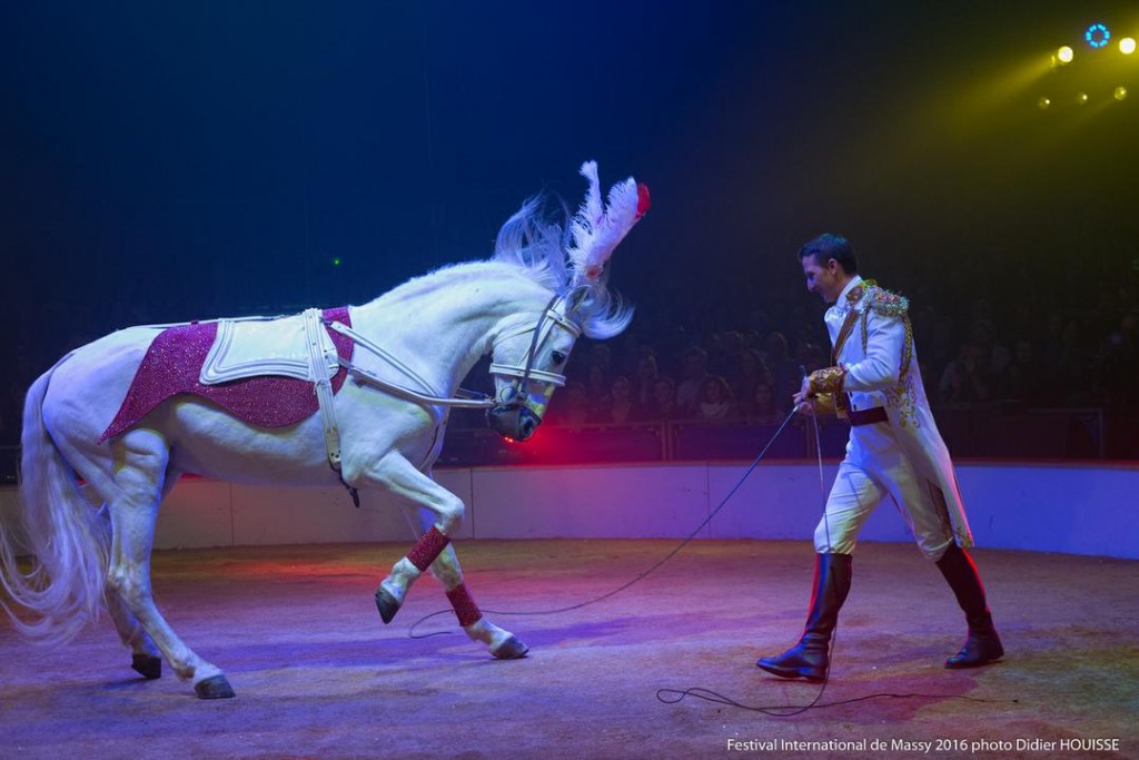 Cavalerie - John CAPLOT (4)
