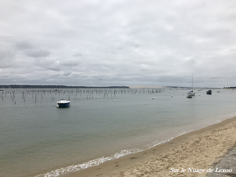 CAP FERRET