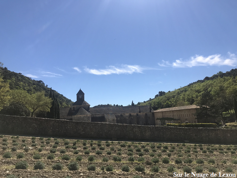 abbaye-de-senanque