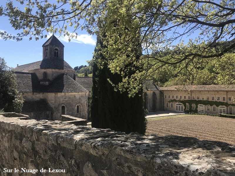 abbaye-de-senanque-gordes