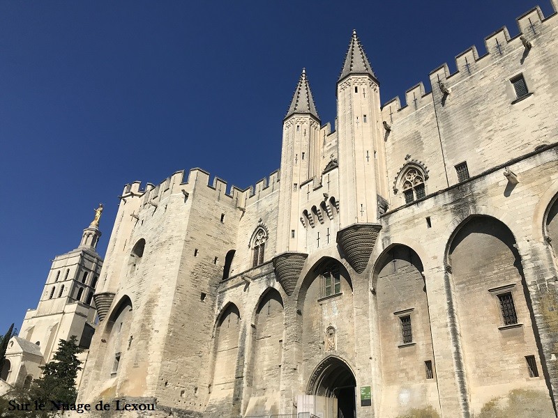 cite-des-papes-avignon