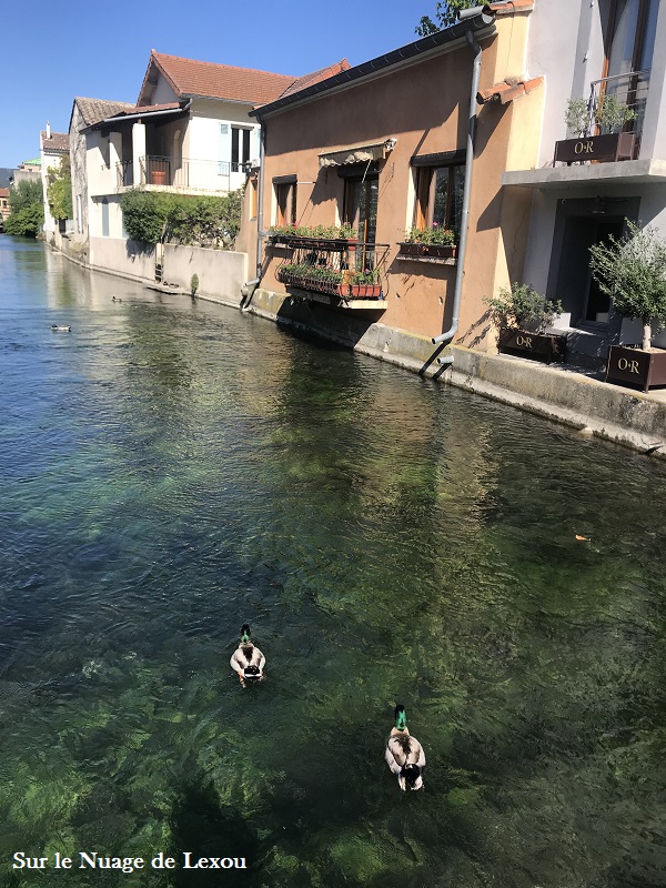 lisle-sur-la-sorgue