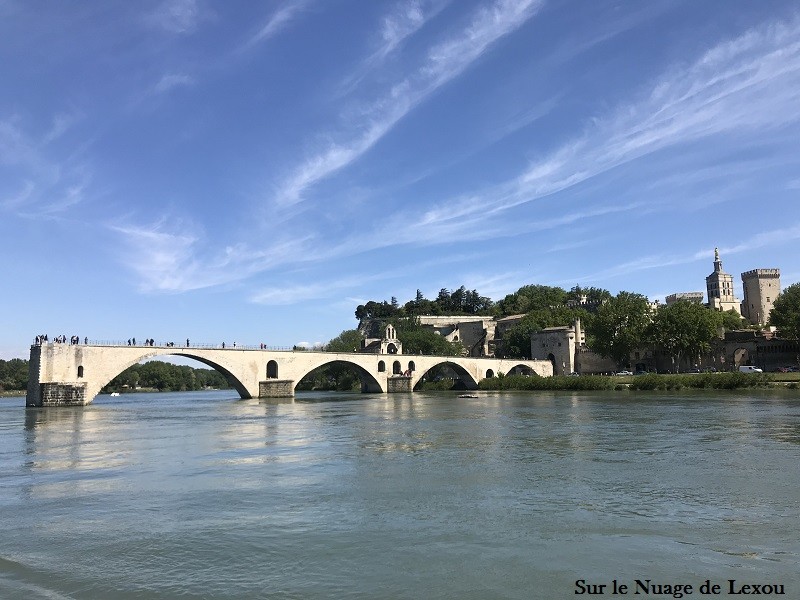 pont-avignon