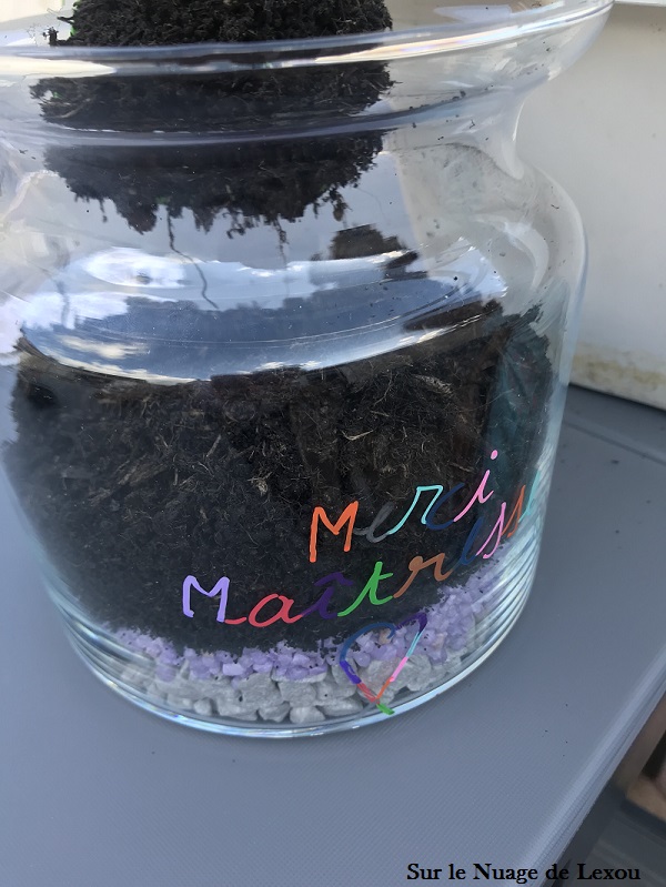 TERRARIUM POUR LA MAITRESSE