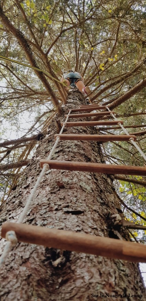 cimes-des-arbres-escalade