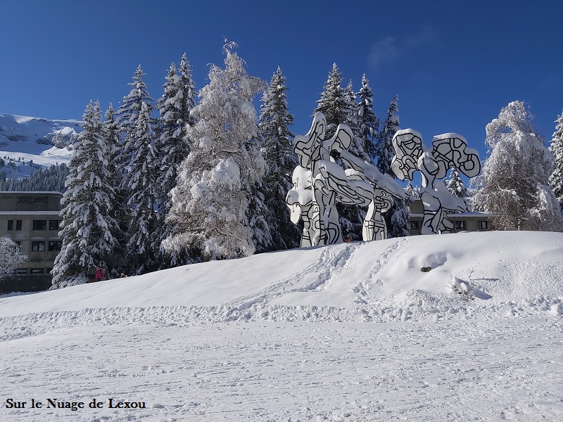 FLAINE FORUM SKI