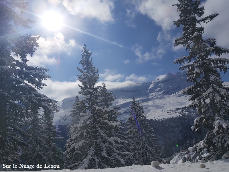 FLAINE VACANCES SKI FAMILLE