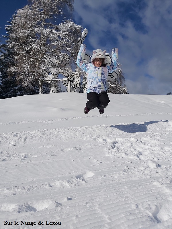 FLAINE VACANCES SKI